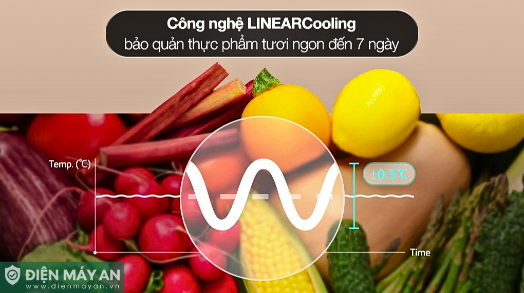 Tủ lạnh LG Inverter 335 lít LBB33BLGA