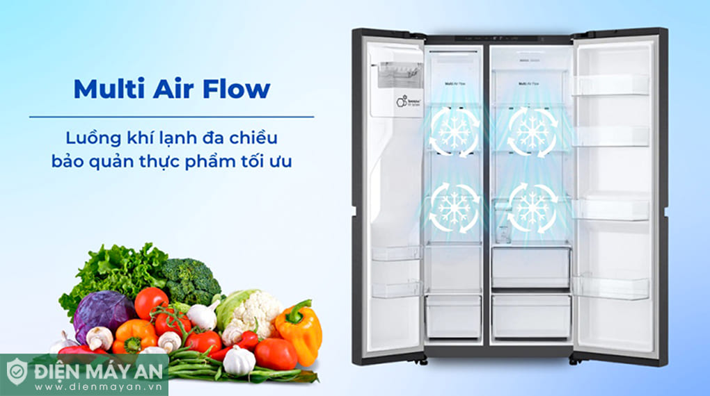 Tủ lạnh LG Inverter 641 lít Side By Side LSI63BLMA