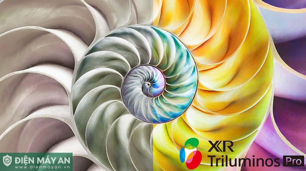 Google Tivi OLED Sony 4K 77 Inch XR-77A80L