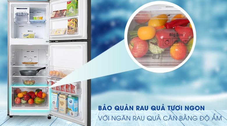 Tủ Lạnh Samsung Inverter 208 Lít RT20HAR8DBU/SV