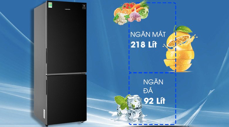 Tủ Lạnh Samsung Inverter 310 Lít RB30N4010BU/SV