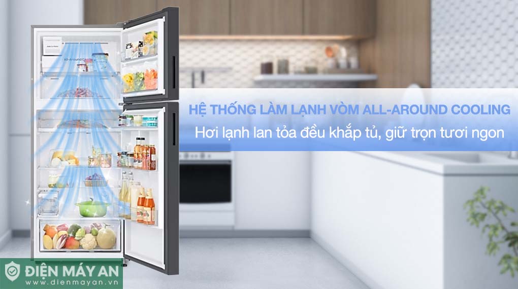 Tủ Lạnh Samsung Inverter 385 Lít Bespoke RT38CB668412SV