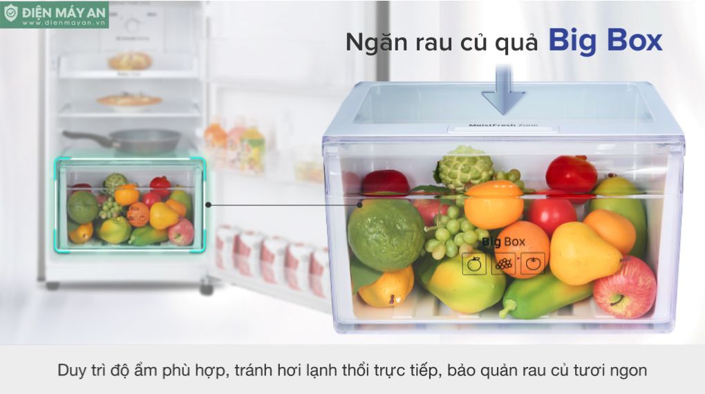 Tủ Lạnh Samsung Inverter 236 Lít RT22M4032BU/SV