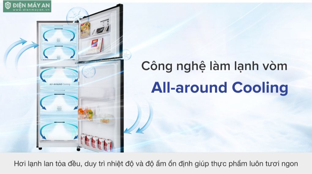 Tủ Lạnh Samsung Inverter 236 Lít RT22M4032BU/SV
