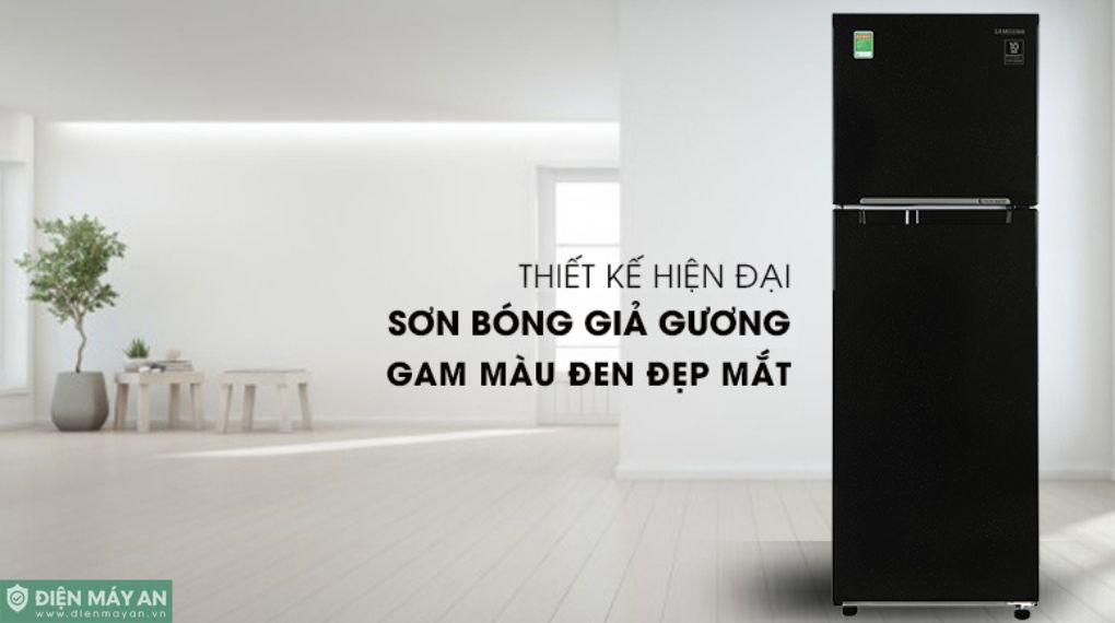 Tủ Lạnh Samsung Inverter 256 Lít RT25M4032BU/SV