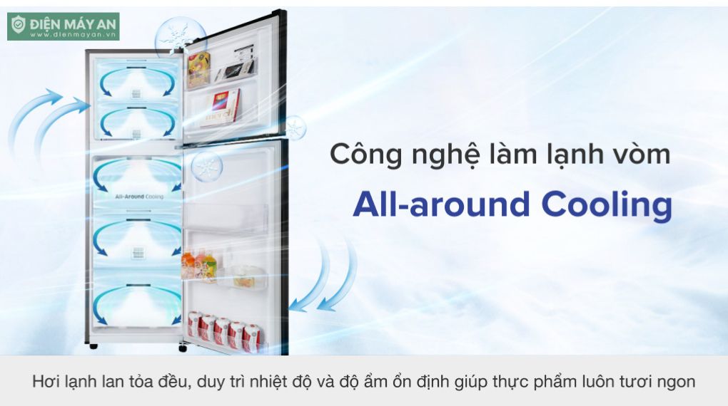 Tủ Lạnh Samsung Inverter 256 Lít RT25M4032BU/SV